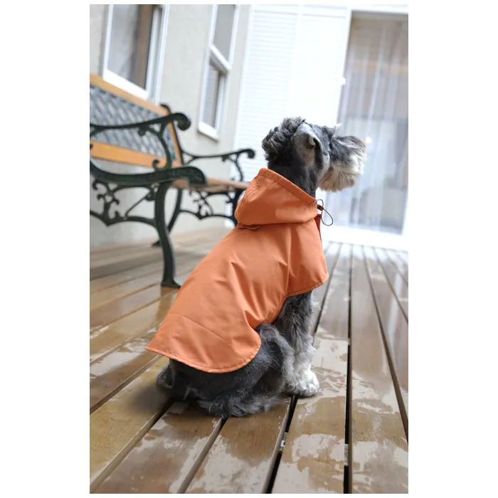 パターン（型紙）とボタンのF・つくりえーたー 【犬の服】雨の日のお