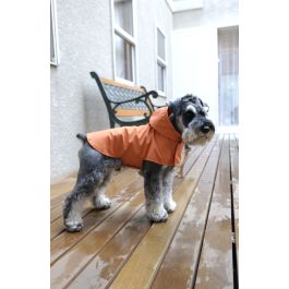 rain-coat1.jpg