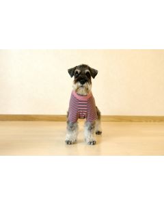 【犬の服】キュートなボーダーTシャツ型紙と作り方