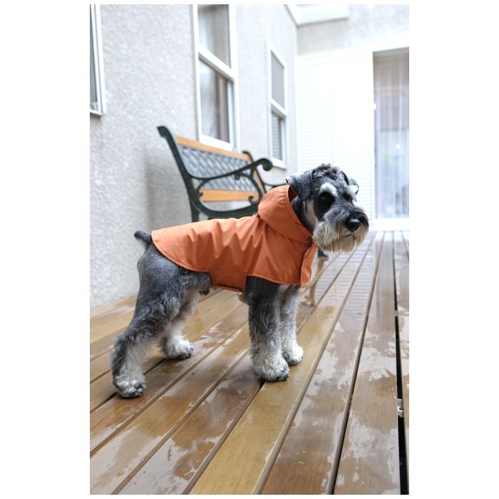 パターン 型紙 とボタンのf つくりえーたー 犬の服 雨の日のお散歩用コート型紙と作り方 F つくりえーたー Pro